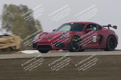 media/Nov-21-2025-Audi Club (Fri) [[8110d52e1e]]/Open Track Photos/3 Grapevine/